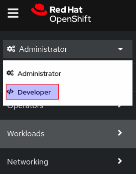 switch dev perspective