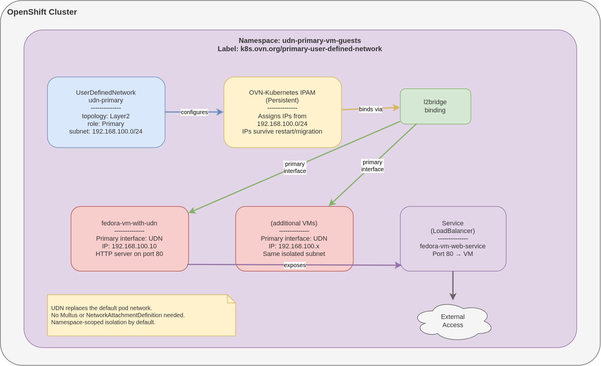 UDN Primary Network Topology