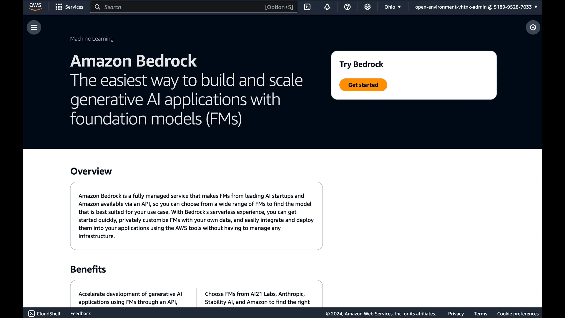 aws bedrock overview