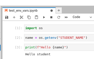 lab test env vars